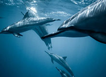 打花了！汪晋贤替补登场第73分钟破门，三镇4-1领先英博！